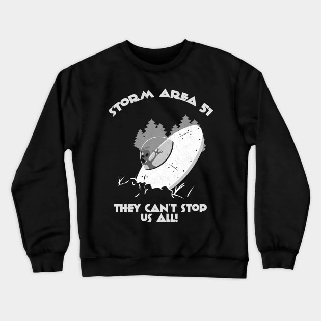 Storm area 51 Crewneck Sweatshirt by AshStore